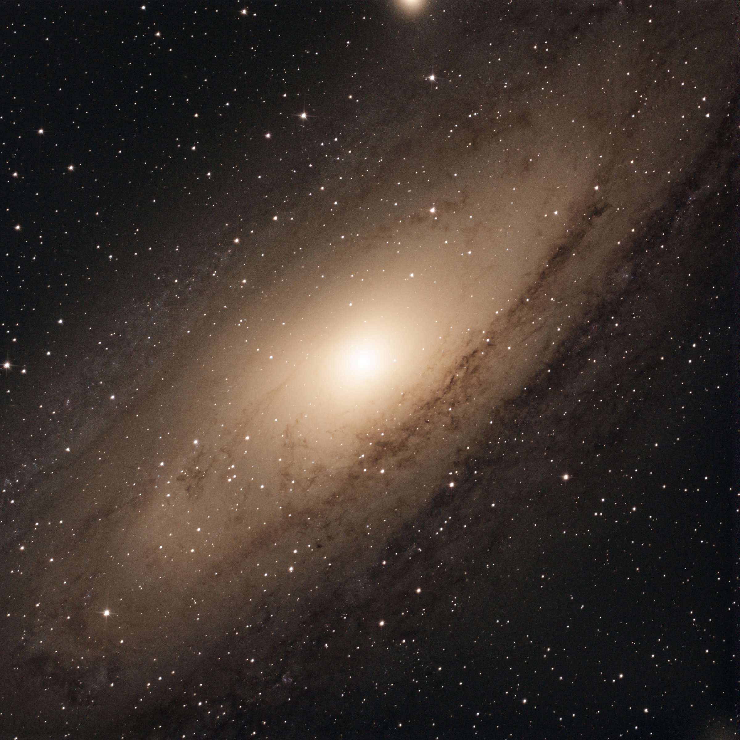 M31