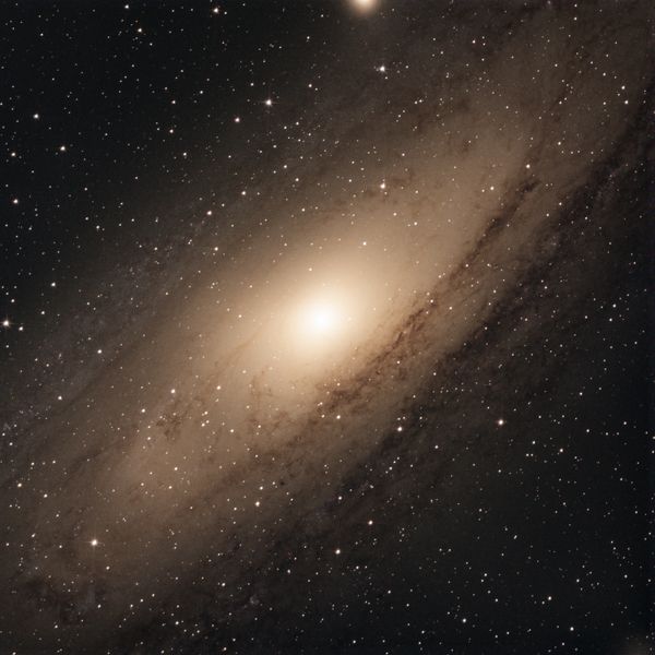 M31