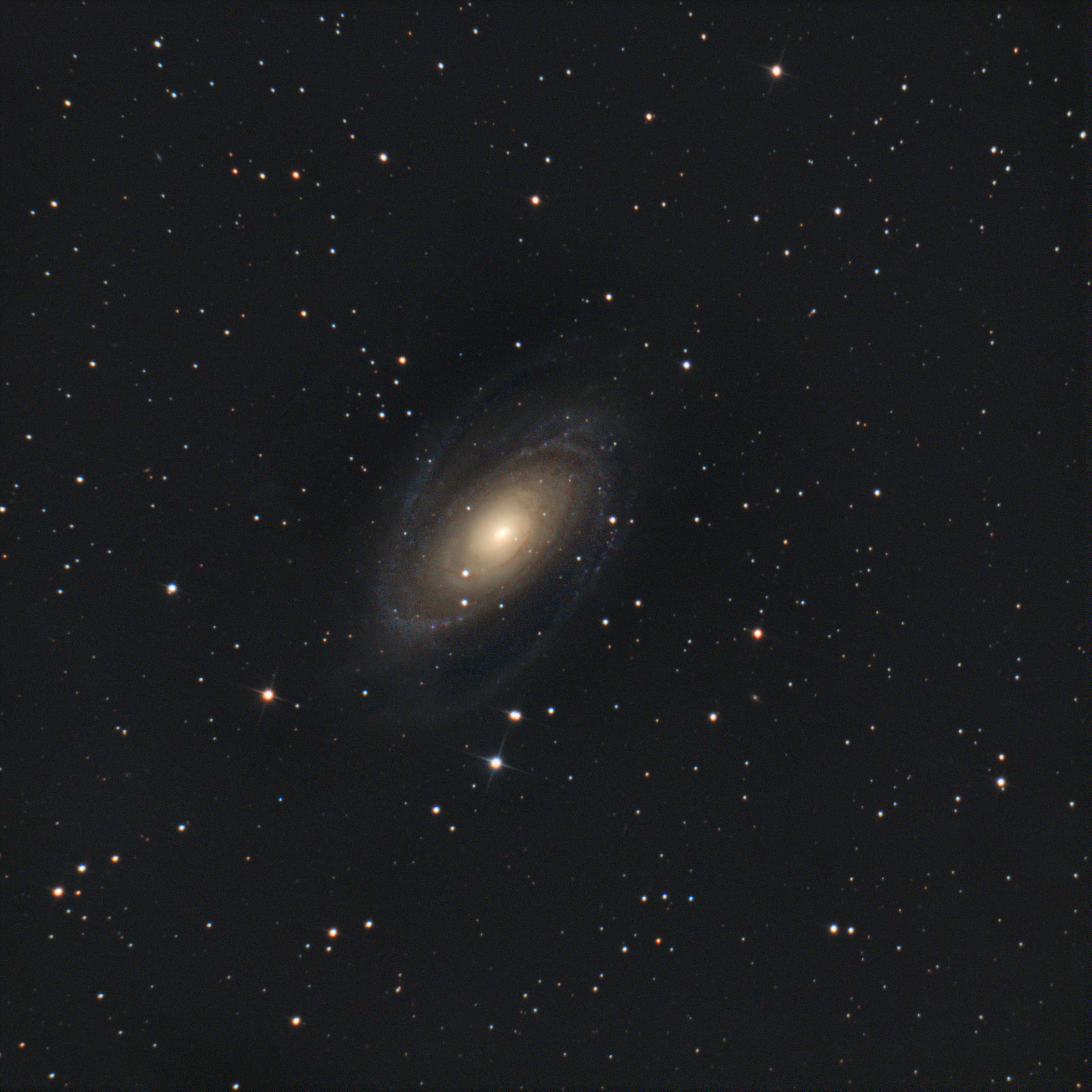M81