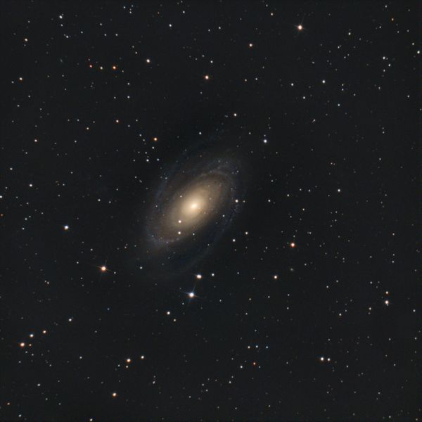 M81